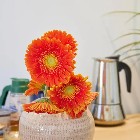 Renewed Alfama Gem With Ac, By Timecooler * Лісабон