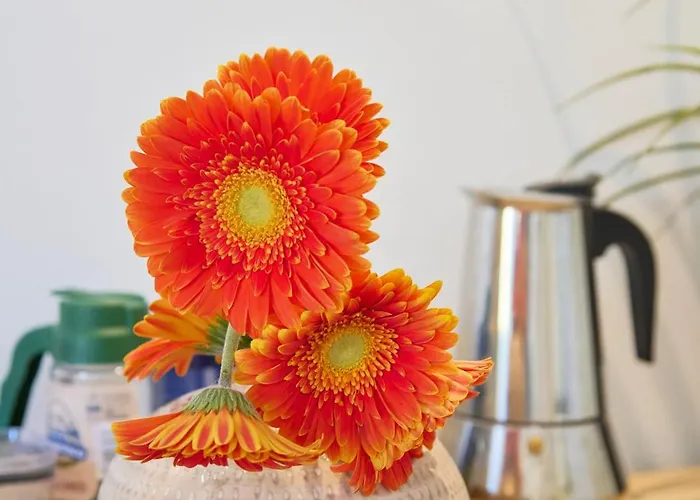 Renewed Alfama Gem With Ac, By Timecooler * Lisboa