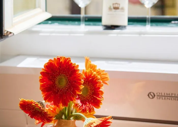 Renewed Alfama Gem With Ac, By Timecooler *