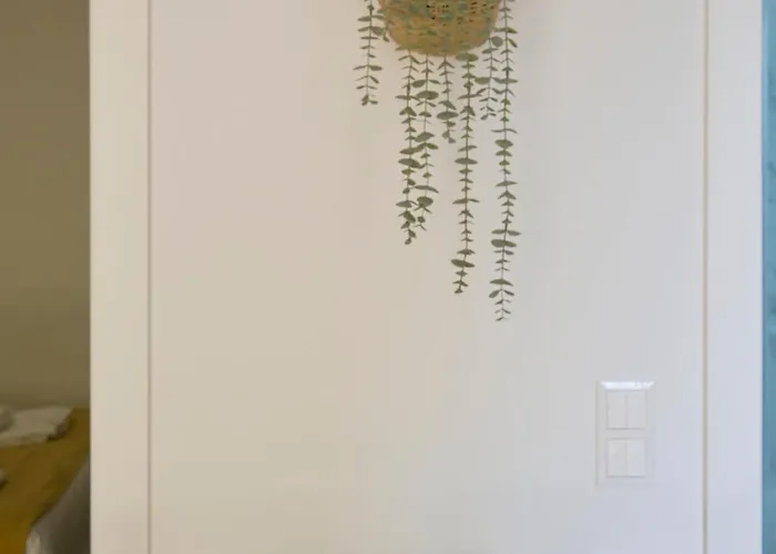 Renewed Alfama Gem With Ac, By Timecooler